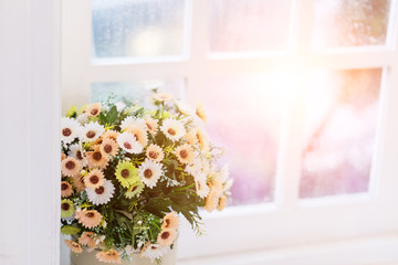 Flowers in vase on window