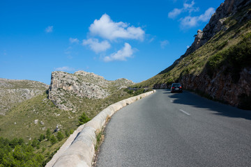 Insel, Mallorca, Spanien, Urlaub, Reisen, Erholung, Strand, Meer, Mittelmeer, Möwe, Tiere, Vögel,...