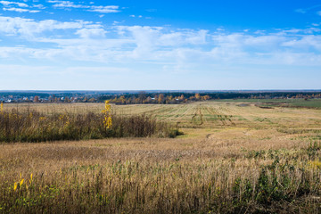 Yellow field and blue sky with louds