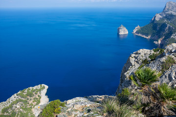 Mallorca, Spanien, Insel, Urlaub, Erholung, Tiere, Pflanzen, Palmen, Reisen, Markt, Früchte, Stand, Meer