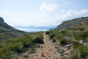 Mallorca, Spanien, Insel, Urlaub, Erholung, Tiere, Pflanzen, Palmen, Reisen, Markt, Früchte, Stand, Meer