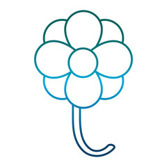 beautiful flower icon over white background vector illustration