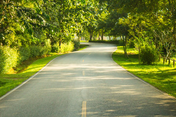 The road the morning