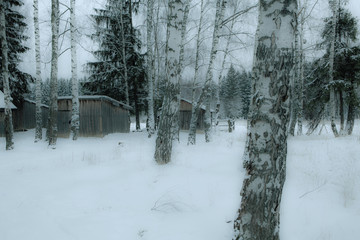 Fototapeta premium Habitat away from metropolises and luxury