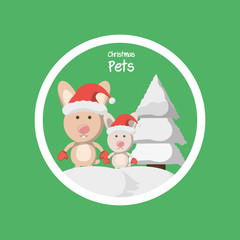 christmas rabbits and pine icon over green background colorful design vector illustration