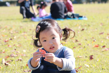 Fototapeta na wymiar 秋の公園　2歳の女の子