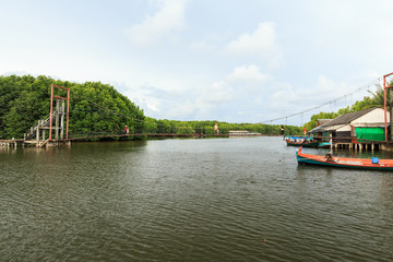 Fototapeta na wymiar Bang Kayak is a largest mangrove forests in Asia, Krasaop natural park, Koh Kong, Cambodia