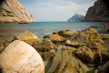 Urlaub, Holiday, Strand, Beach, Mallorca, Flower, Blumen, Pflanzen, Tiere, Landschaften, Landscape