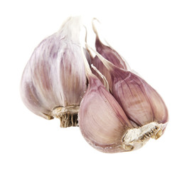 garlic isolated on white background closeup