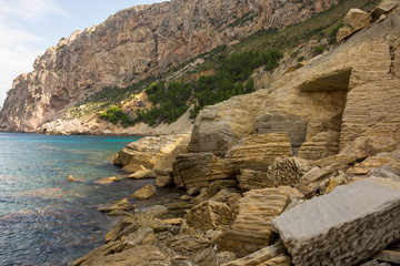 Urlaub, Holiday, Strand, Beach, Mallorca, Flower, Blumen, Pflanzen, Tiere, Landschaften, Landscape