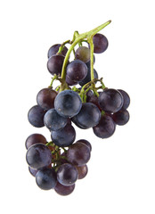 grapes isolated on white background closeup