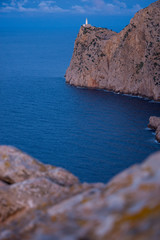 Urlaub, Holiday, Strand, Beach, Mallorca, Flower, Blumen, Pflanzen, Tiere, Landschaften, Landscape