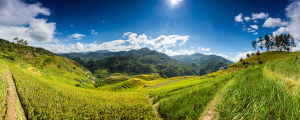 Rice fields on terrace in rainy season at Mu Cang Chai, Yen Bai, Vietnam. Rice fields prepare for transplant at Northwest Vietnam