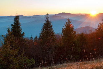 Rays of red sun setting among pines, spruce trees against smoky mountain range covered in purple grey mist under warm light cloudless sky on a warm fall evening in October. Carpathians, Ukraine