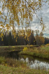 Bright autumn water landscape 