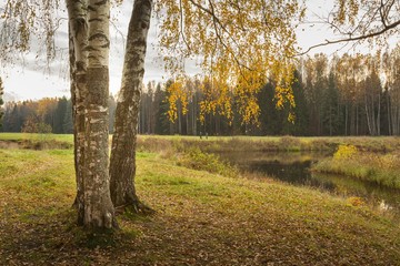 Bright autumn landscape 