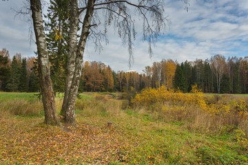 Bright autumn landscape 