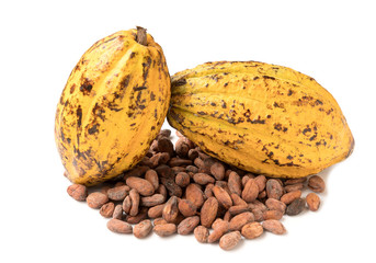Cacao fruit, raw cacao beans, Cocoa pod on white background