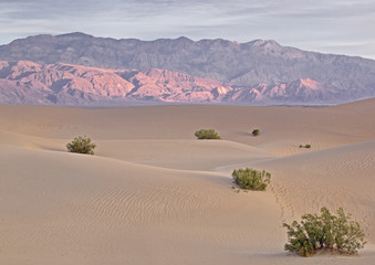 Fototapeta na wymiar sunrise over mesquite flat sand dunes