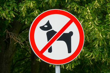 Dogs not permitted in area sign. Plate on post in city park -  no dogs allowed. - 179250890