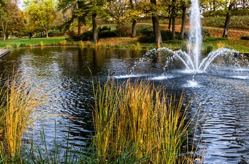 Fulda Schlossgarten in herbstlichen Farben 