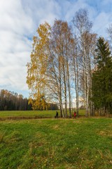 Bright autumn landscape 