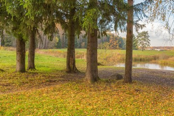 Bright autumn landscape 