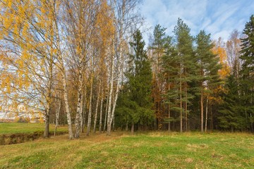 Bright autumn landscape 