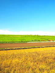 秋空と畑と土手風景