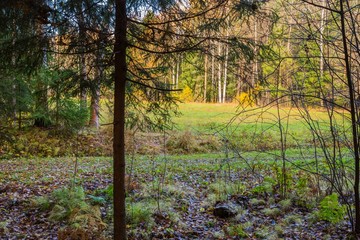 Bright autumn landscape 