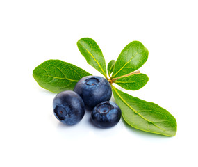 Blueberry. Two fresh blueberries with leaves isolated on white background. With clipping path.