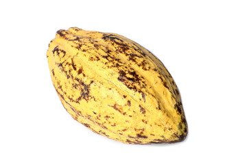 Cacao fruit, raw cacao beans, Cocoa pod on white background