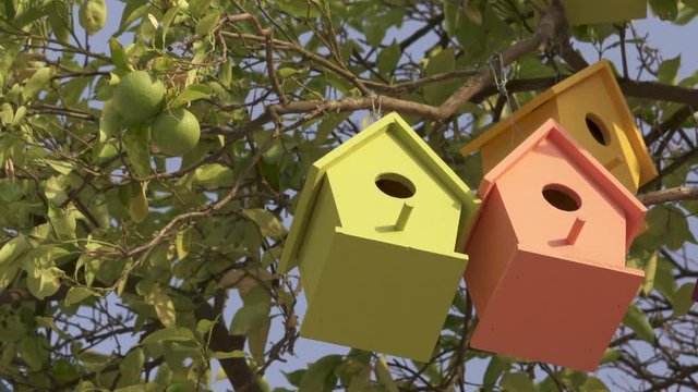 Colourful Wooden Bird Houses On the tree. Illustrate housing problem and mortgage loan