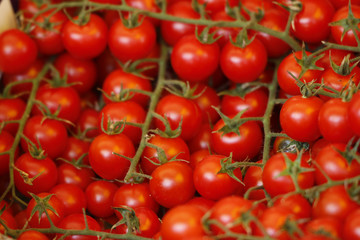 Rote Tomaten in Kiste 