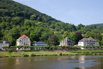 Fototapeta na wymiar Neckar, Heidelberg