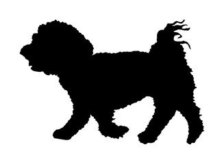 Maltese dog puppy vector silhouette illustration isolated on white background.