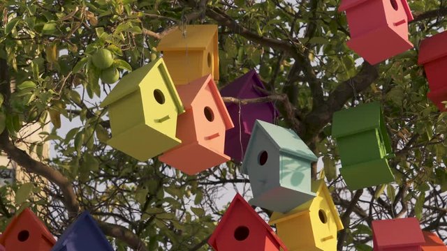 Colourful Wooden Bird Houses On the tree. Illustrate housing problem and mortgage loan