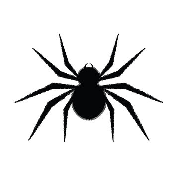 spider in black illustration