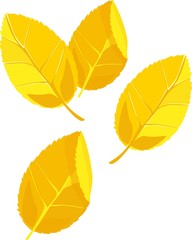 Background with flying yellow fall leaves