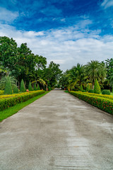 Road in the park