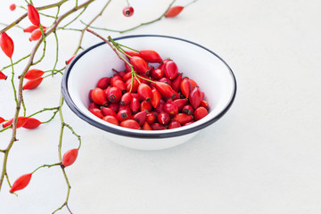 rose hip