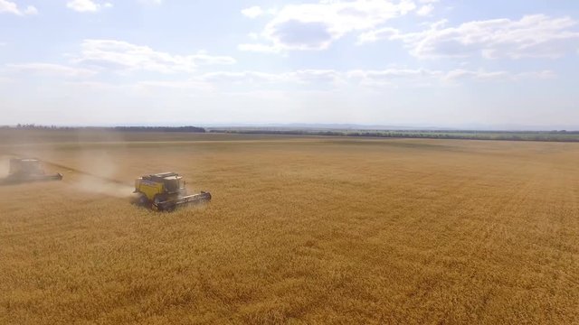 AERIAL: Yellow harvester collects wheat in late summer. Agriculture landscape, large field of wheat. Rural, countryside. 