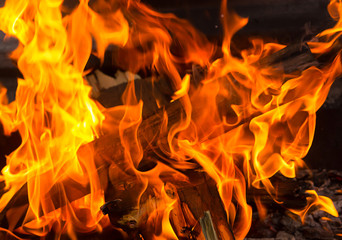 tongues flame background power elements green red texture summer dark backdrop bonfire picnic bbq