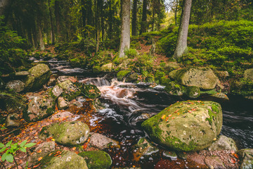 Bachlauf Harz