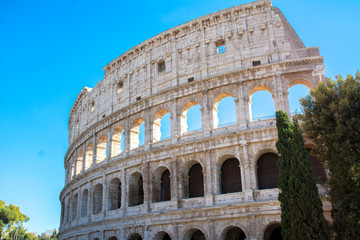 Fototapeta na wymiar view of the colosseum in rome