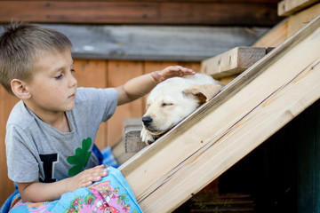 the child takes care of a Labrador puppy