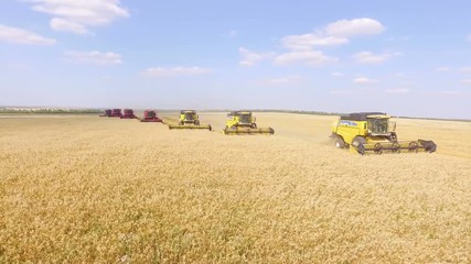 AERIAL: The foreground of harvesters, collecting the wheat. Beautiful composition of agriculture machinery, yellow field and blue sky.
