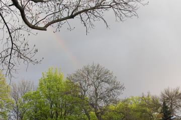 sky rainbow