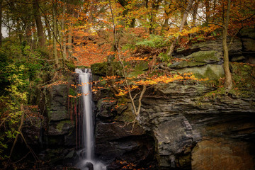 Lumsdale in Autumn