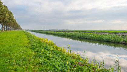 Clouds reflecting in a canal  through a field in sunlight at fall